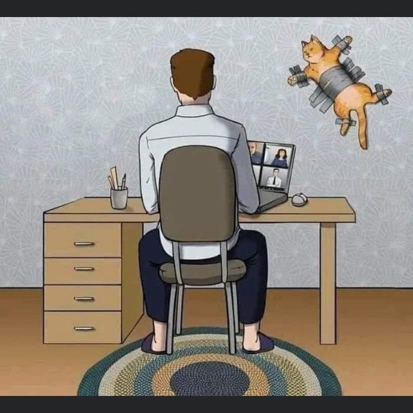 Meet the Posher Other - Meet your Posher, William